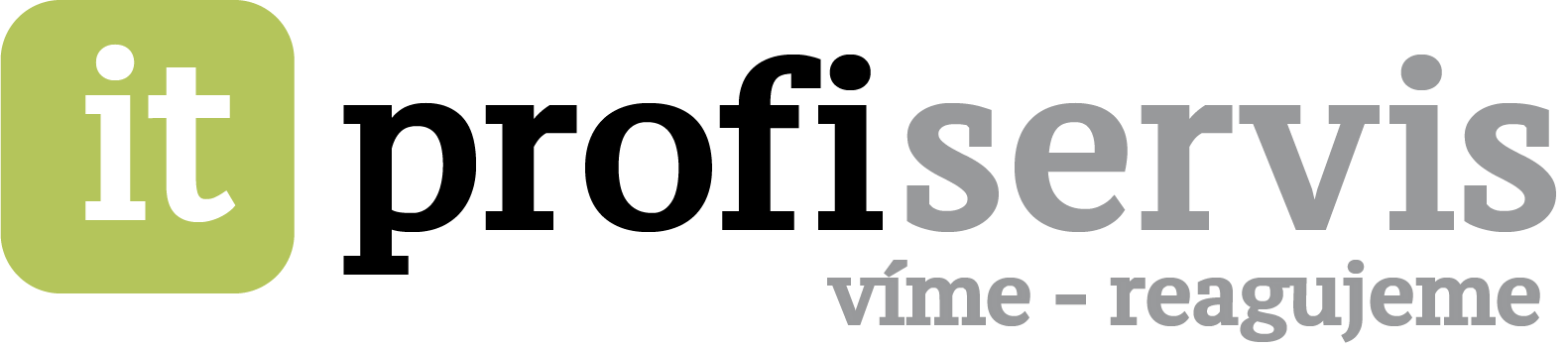 itprofiservis logo3